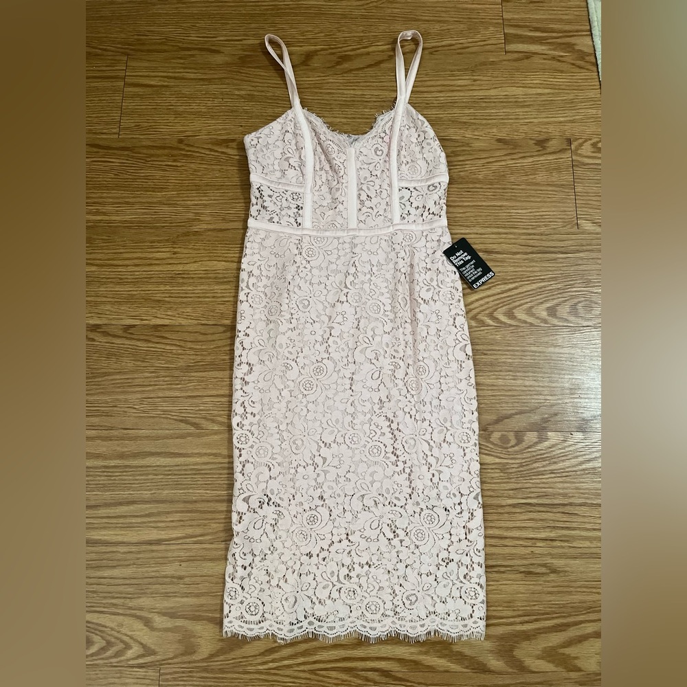 Express Blush Lace Dress